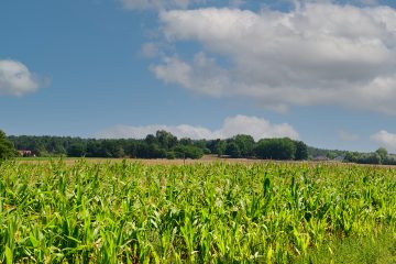 Neue Öko-Spitzenwerte in Brandenburg