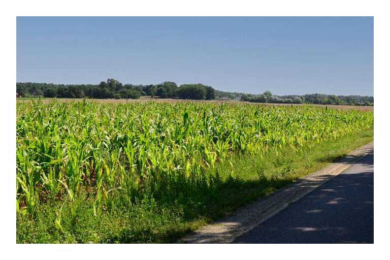 Innovative Projektideen in Landwirtschaft und Gartenbau