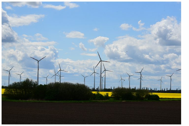 Märkische Unternehmen auf der „Husum Wind“