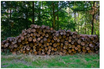 Innovative Klimaschutzprojekte