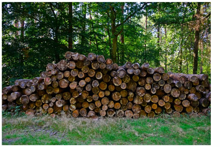 Innovative Klimaschutzprojekte