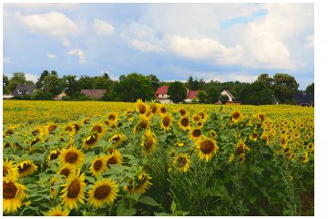 Hobbyfotografen-Wettbewerb