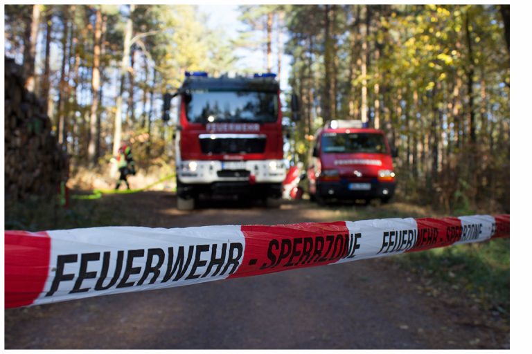 Waldbrandstatistik