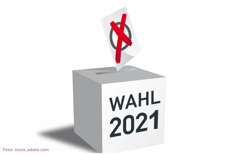 Freitag ist U18-Bundestagswahl