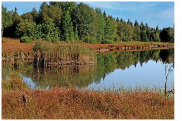 Radwanderung durch die Spreeauenlandschaft