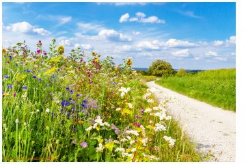 Seenland startet in den Wanderherbst