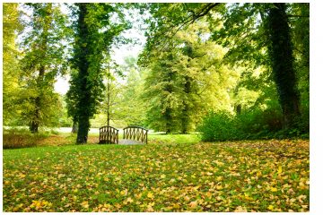 Gartenbauverband fordert Entwicklung