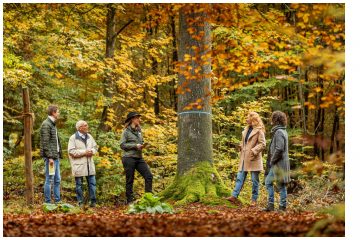 Führung durch den FriedWald