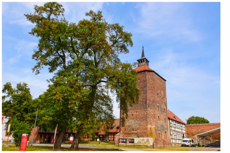Kultur in historischen Mauern