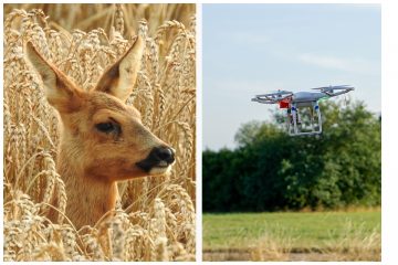 Moderne Technik hilft beim Schutz der Tiere