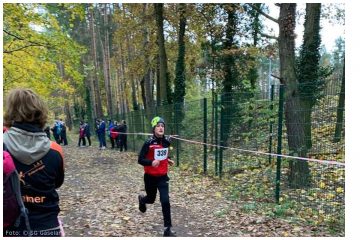 Regionalmeistertitel im Crosslauf