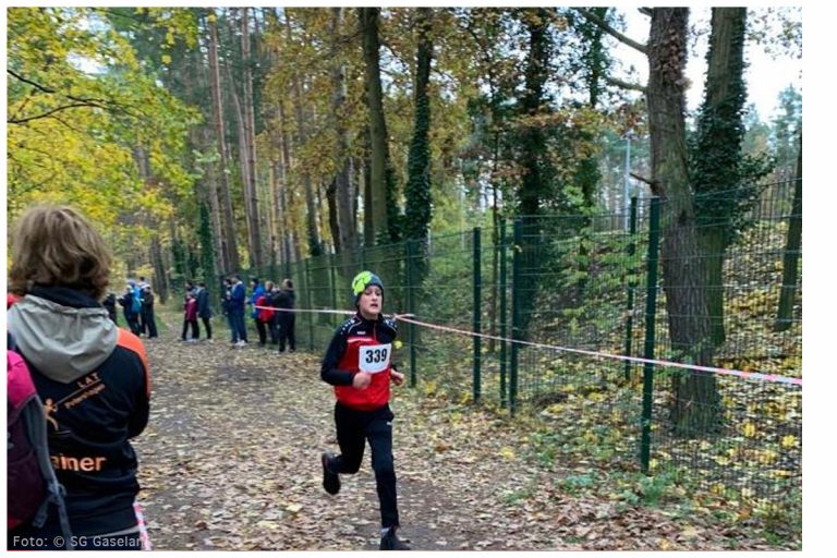 Regionalmeistertitel im Crosslauf