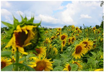 Workshops zum Klimaschutz