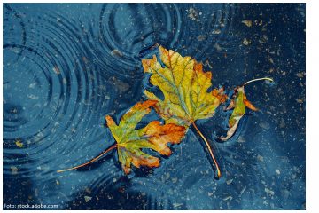 Der Winterdepression trotzen