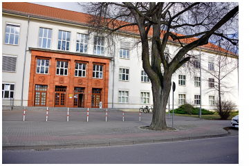 Fürstenwalder Gymnasiasten politisch interessiert