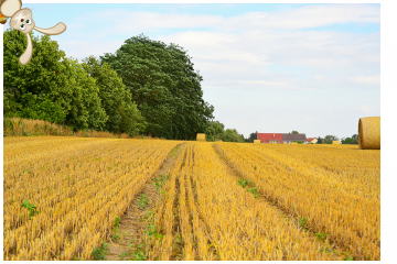 Agrarförderung für Landwirtschaftsbetriebe