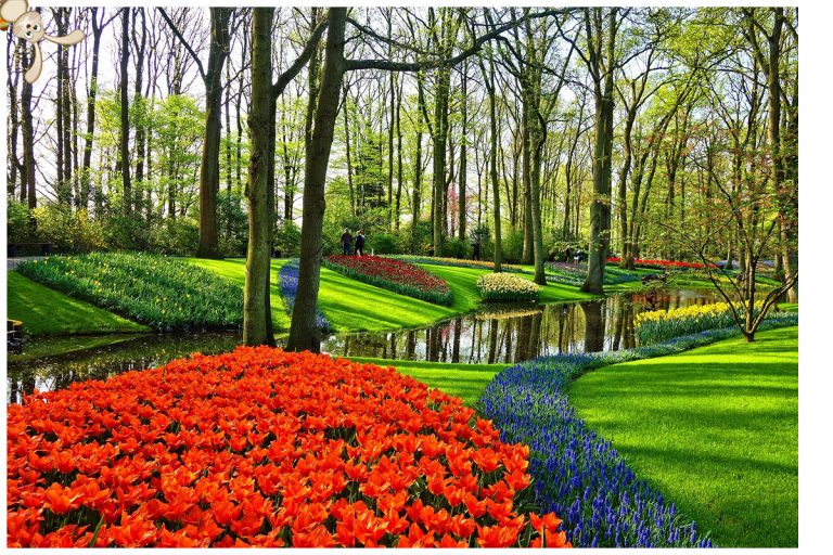 Brandenburgische Gartenschau eröffnet