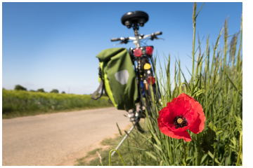 Fahrradcodierungen in Erkner
