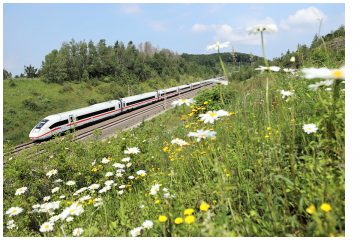 Himmelfahrt, Pfingsten & Fronleichnam