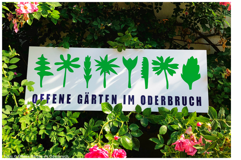 Offene Gärten im Oderbruch