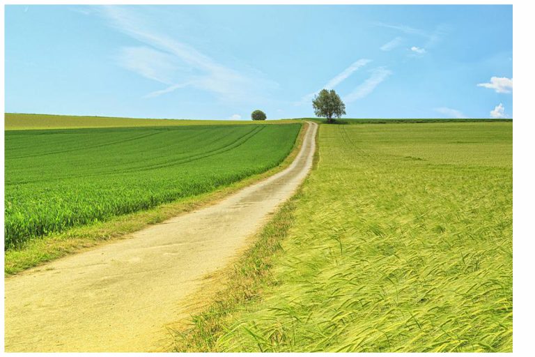 Pflanzentausch, Zeitreisen, Sechs-Seen-Tour