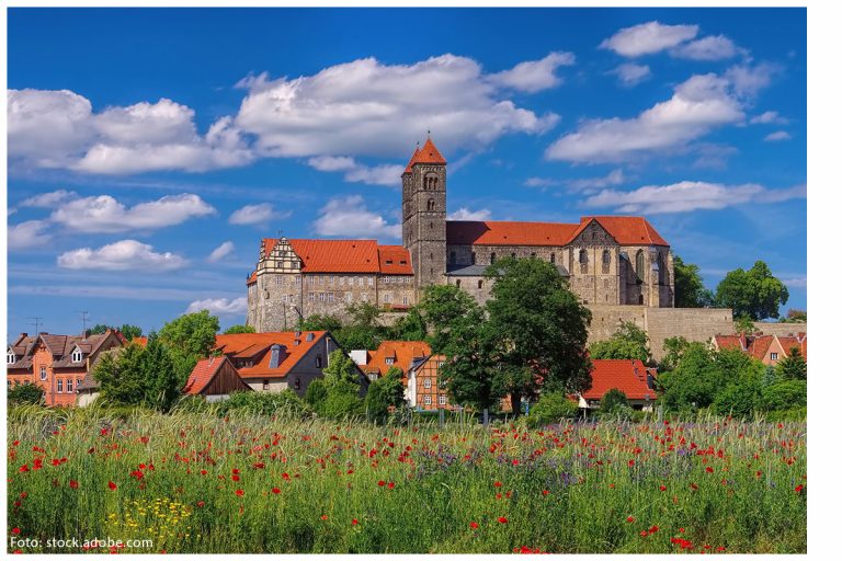 Kultur Spuren – im Denkmal