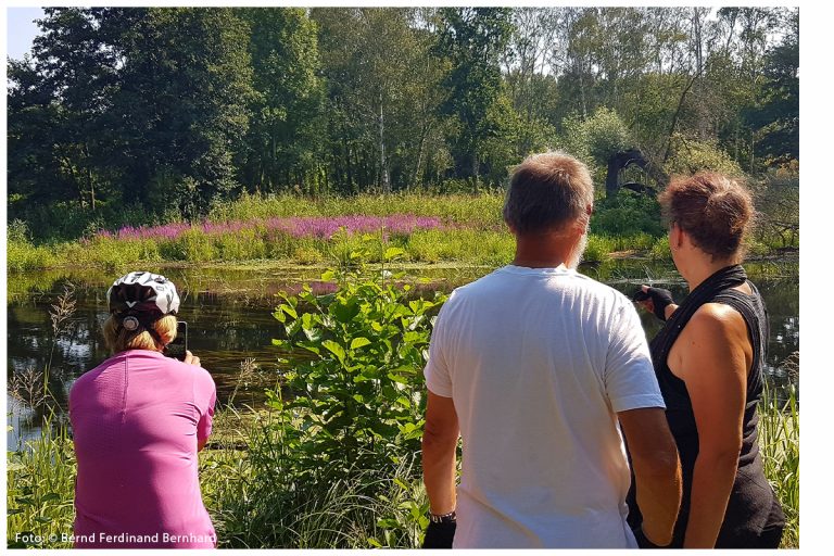 Radwanderung am Sonntag