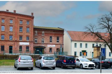 Rekordteilnahme beim Sommerleseclub