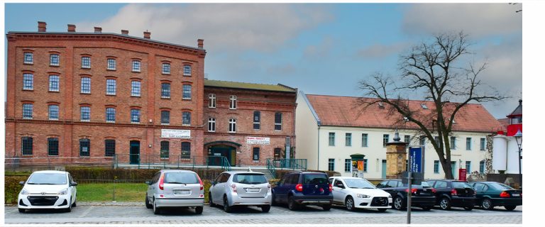 Rekordteilnahme beim Sommerleseclub