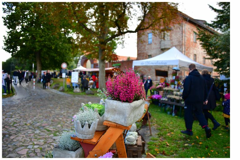 Traditionelles Hoffest
