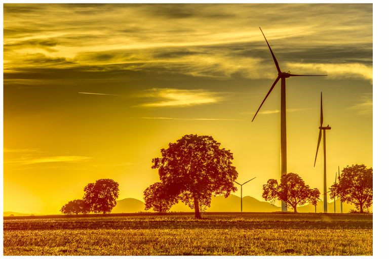 Woche der Klimaanpassung