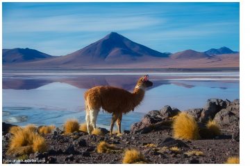 Bolivien