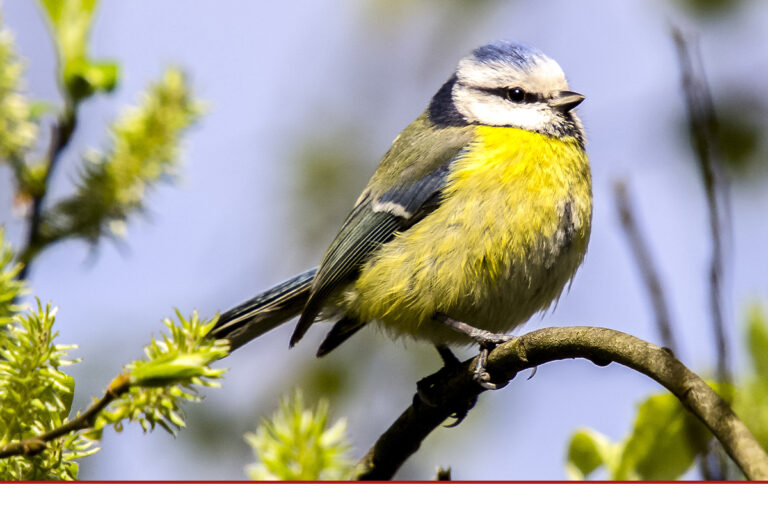 Tierische Wohnungsnot
