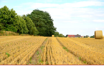 Bio Brandenburg