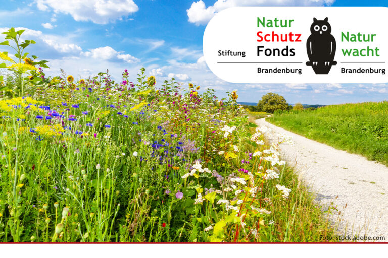 Geführte Wanderungen