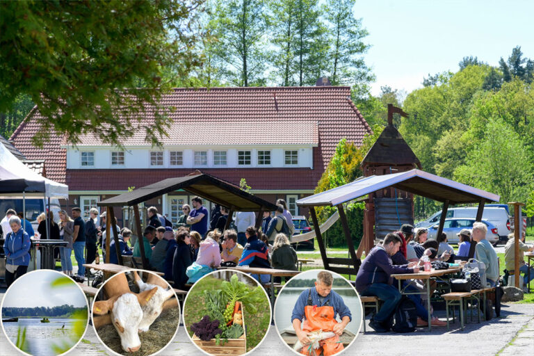Erstes großes Hoffest