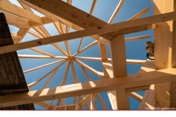 Holzbauinitiative