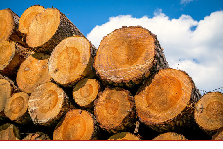 Holzwärme