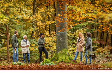 Führung durch den Fried Wald Fürstenwalde