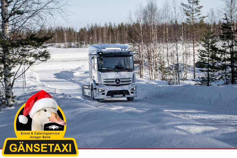 Der eActros im Winter
