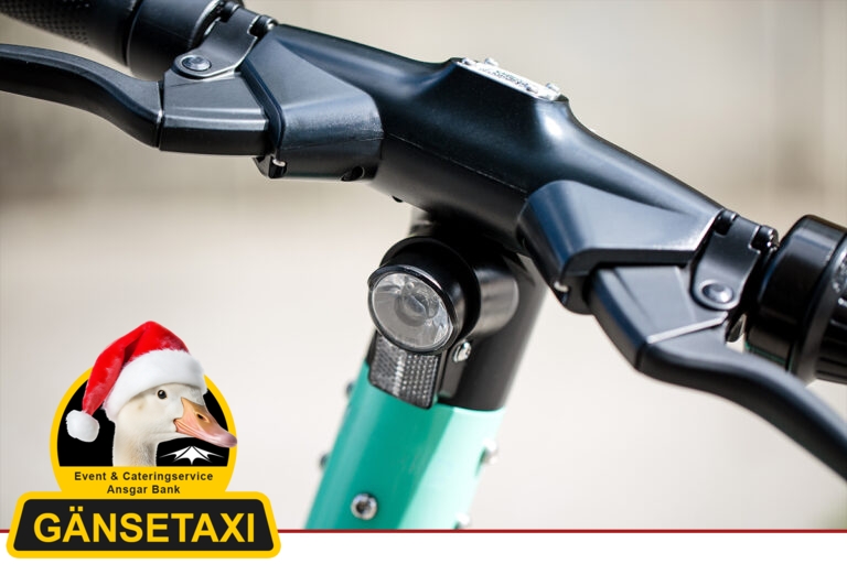 E-Scooter-Studie