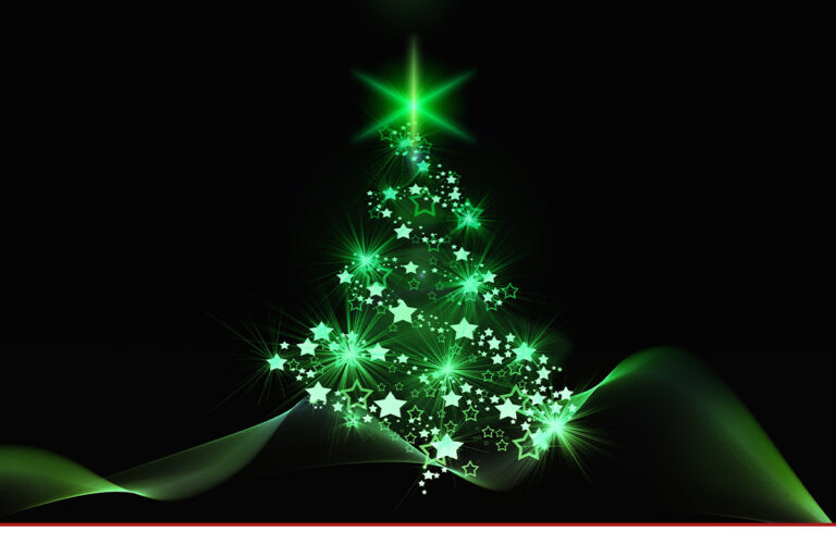 Kleinere Weihnachtsbäume liegen im Trend