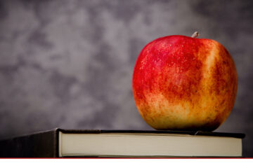 Kurse des neuen Semesters buchbar