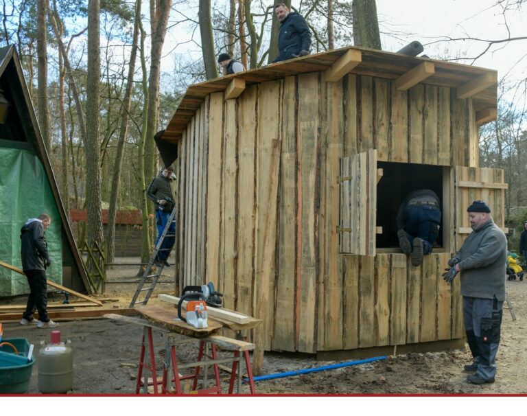 Projekt Pavillon im Heimattiergarten