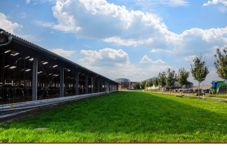Landwirtschaft in Brandenburg zeigt Gesicht