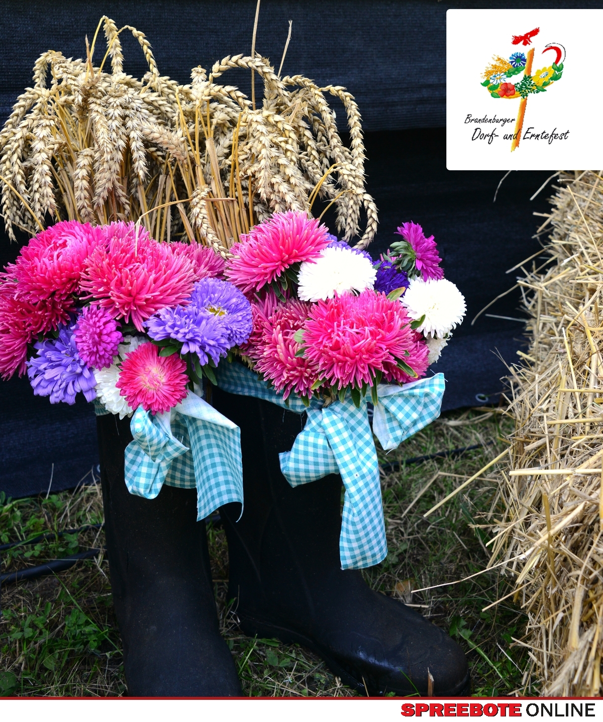 Spreebote Online - Brandenburger Dorf- und Erntefest 2025