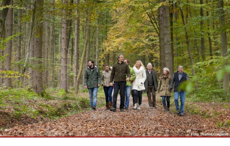 Führung durch den Fried Wald