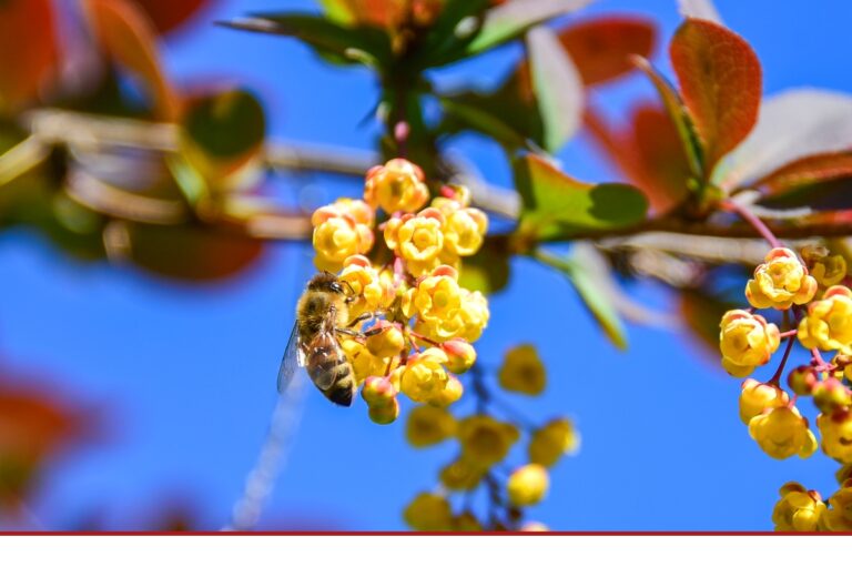 Weniger tun, mehr lassen