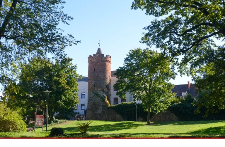 Die Fürstenwalder Stadtmauer