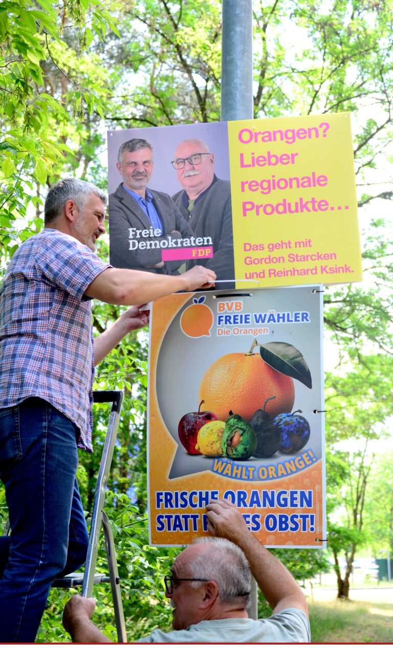 Freien Demokraten Fürstenwalde